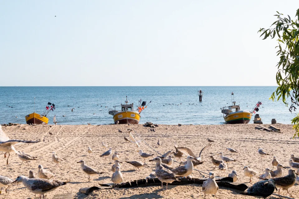 Sopot and the beach · 87