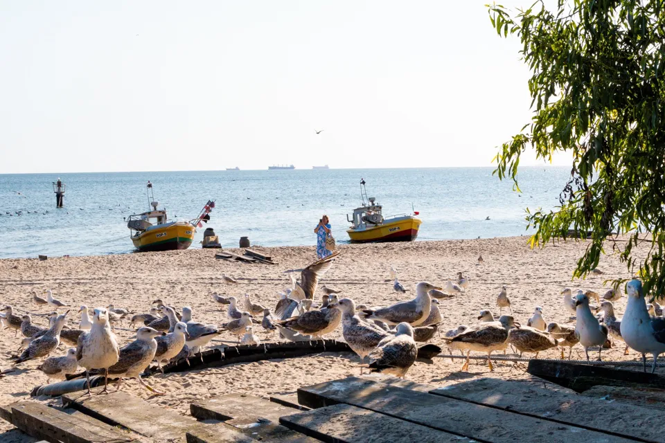Sopot and the beach · 53